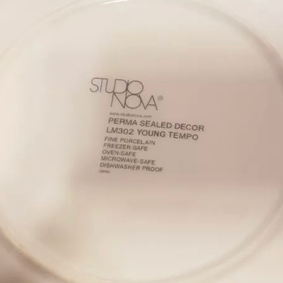 3 +1 Studio Nova Mikasa Young Tempo SALAD PLATES - Picture 3 of 8